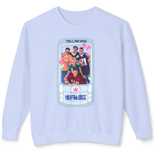 Light blue sweatshirt with a graphic design on a white background